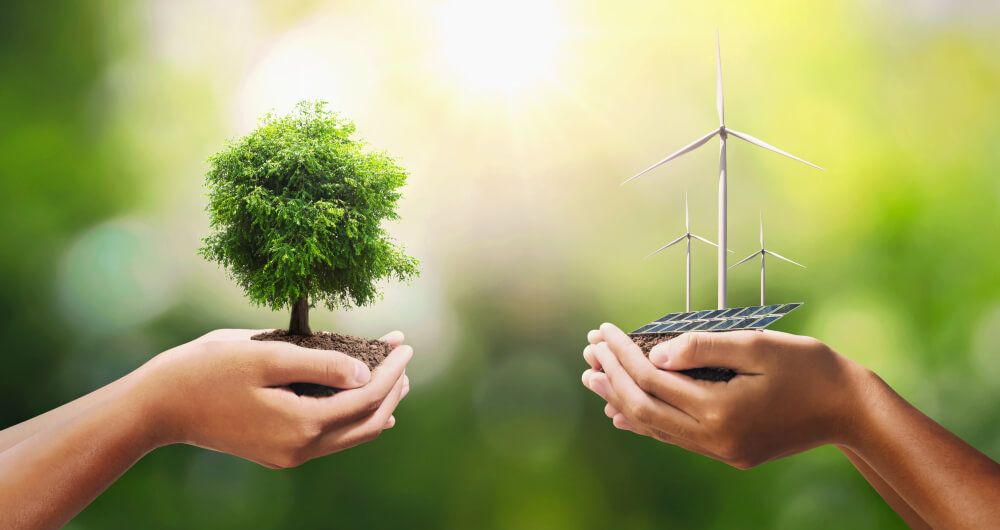 hand-holding-tree-with-turbine-and-solar-panel(1)